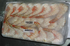red legged banana prawn 
