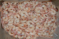 Indian white shrimp