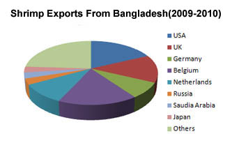 shrimp export from bangladesh