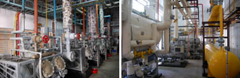 seafood industry